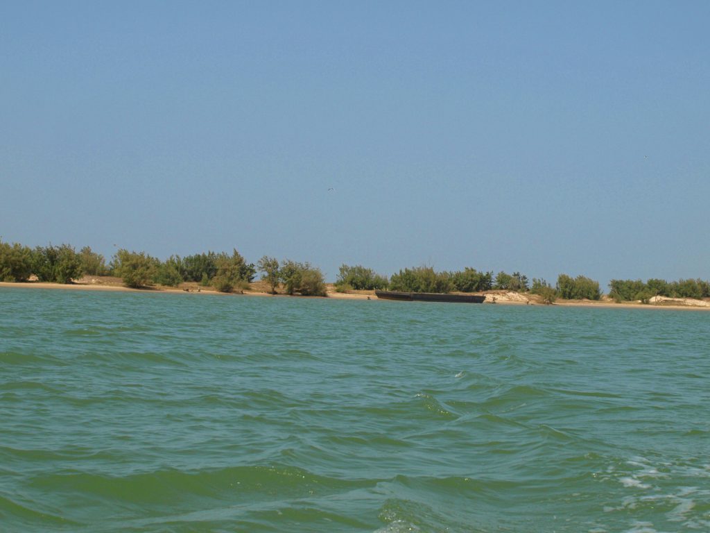 Desaparición de la Lengua de la Barbarie en Saint-Louis (Senegal)