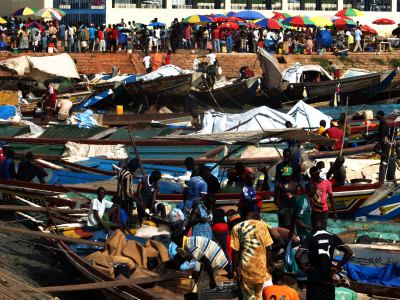 Guinea Bissau. Las tres plagas