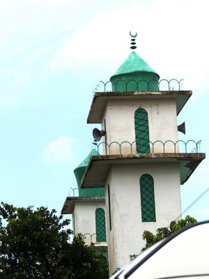 Guinea Bissau. Las tres plagas