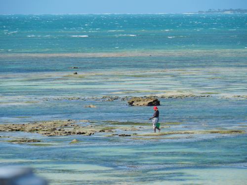 Una fundación catalana combate la desnutrición infantil en la isla mozambiqueña de Ibo