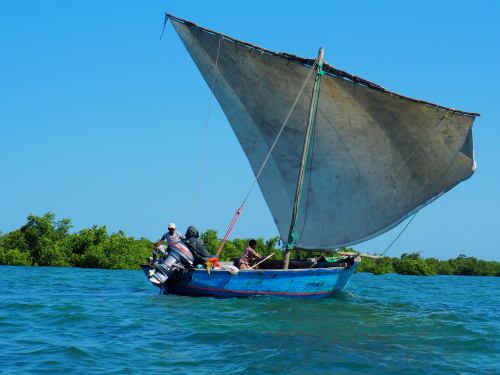 Una fundación catalana combate la desnutrición infantil en la isla mozambiqueña de Ibo