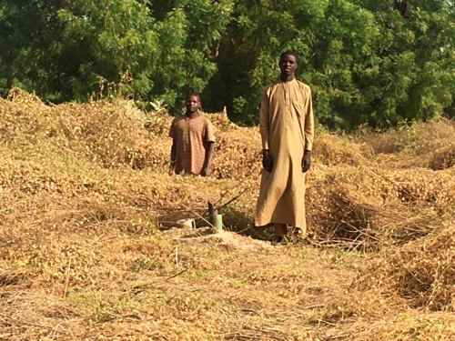 Nigeria se desangra por la herida de Boko Haram